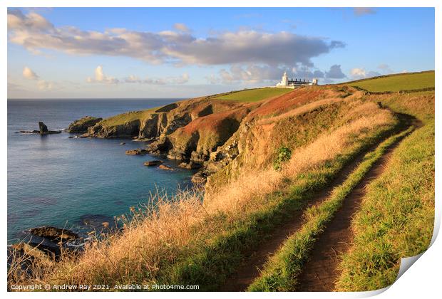 Footpath to Lizard Lighthouse  Print by Andrew Ray