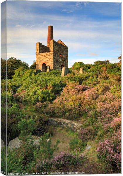 Mine workings at Wheal Peevor Canvas Print by Andrew Ray