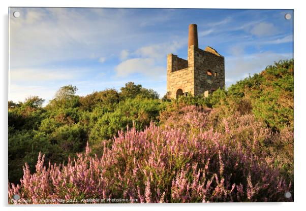 Heather clump at Wheal Peevor Acrylic by Andrew Ray