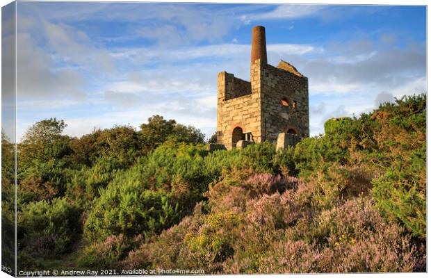 Summer evening at Wheal Peevor Canvas Print by Andrew Ray
