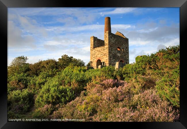 Summer evening at Wheal Peevor Framed Print by Andrew Ray