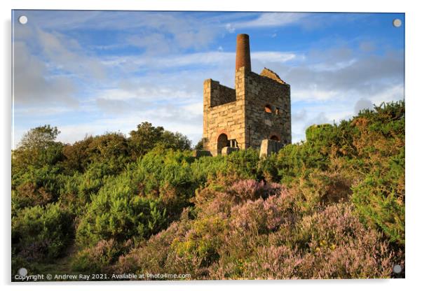 Summer evening at Wheal Peevor Acrylic by Andrew Ray