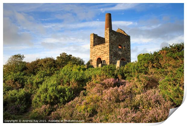 Summer evening at Wheal Peevor Print by Andrew Ray