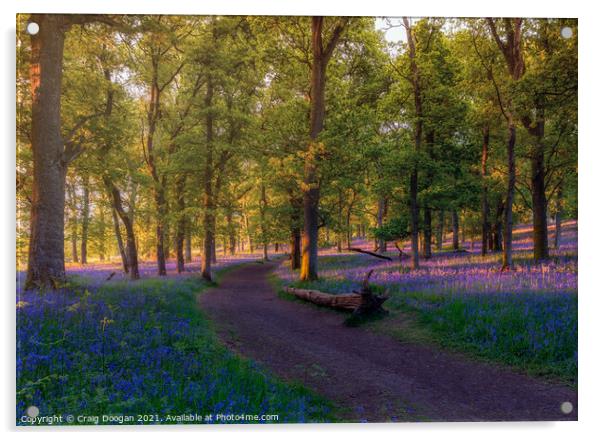 Bluebell Forest Acrylic by Craig Doogan