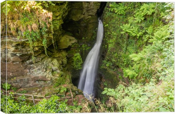 St Nectan's Glen Waterfall Canvas Print by Graham Custance