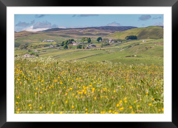 Thringarth from the Kelton Road, Lunedale Framed Mounted Print by Richard Laidler