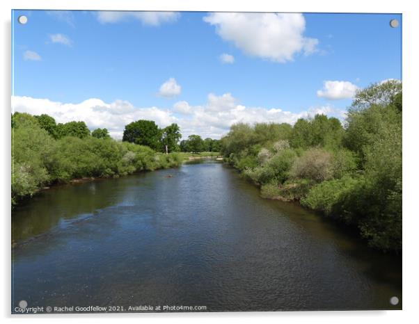 Rickerby River Eden Acrylic by Rachel Goodfellow