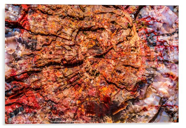 Petrified Wood Rock Log Abstract National Park Arizona Acrylic by William Perry