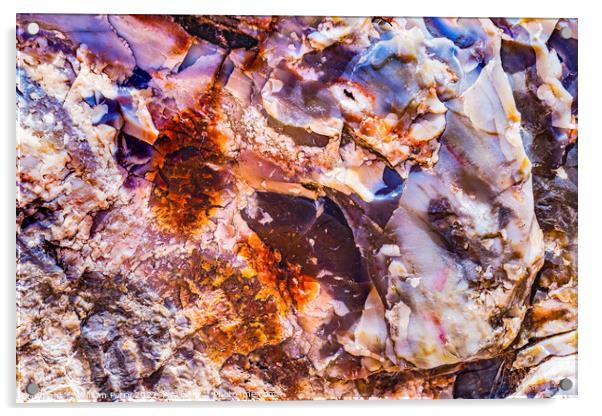 Petrified Wood Rock Log Abstract National Park Arizona Acrylic by William Perry