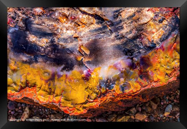 Petrified Wood Rock Log Abstract National Park Arizona Framed Print by William Perry