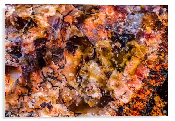 Petrified Wood Rock Log Abstract National Park Arizona Acrylic by William Perry