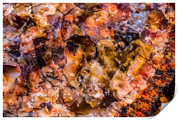 Petrified Wood Rock Log Abstract National Park Arizona Print by William Perry