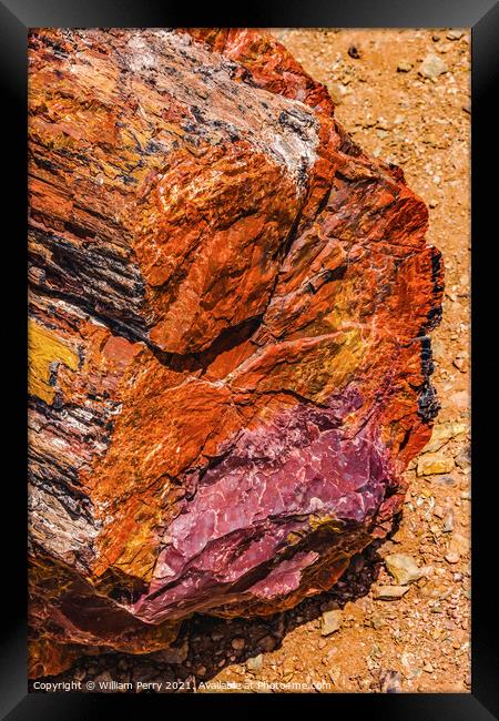 Petrified Wood Rock Log Abstract National Park Arizona Framed Print by William Perry