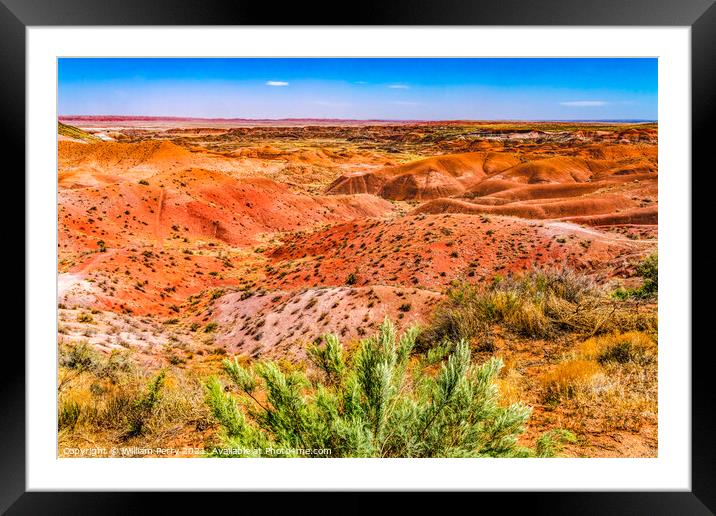 Tiponi Point Painted Desert Petrified Forest National Park Arizo Framed Mounted Print by William Perry