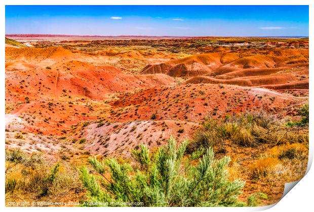 Tiponi Point Painted Desert Petrified Forest National Park Arizo Print by William Perry