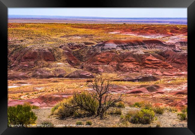 Tawa Point Painted Desert Petrified Forest National Park Arizona Framed Print by William Perry