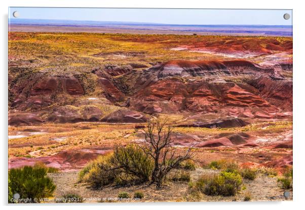 Tawa Point Painted Desert Petrified Forest National Park Arizona Acrylic by William Perry