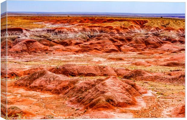 Tawa Point Painted Desert Petrified Forest National Park Arizona Canvas Print by William Perry