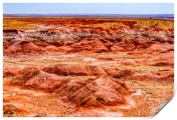 Tawa Point Painted Desert Petrified Forest National Park Arizona Print by William Perry