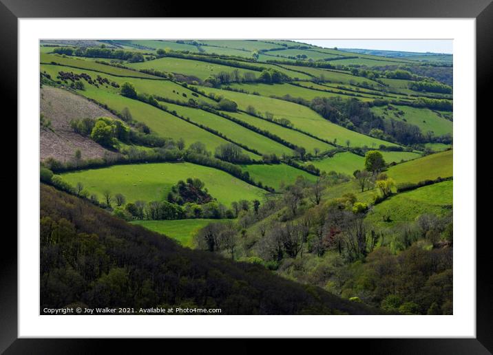 Exmoor landscape Framed Mounted Print by Joy Walker