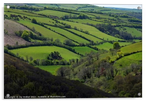 Exmoor landscape Acrylic by Joy Walker