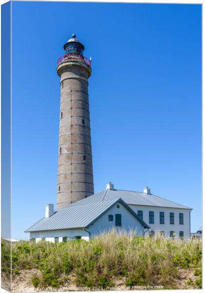 Skagen Lighthouse Canvas Print by DiFigiano Photography