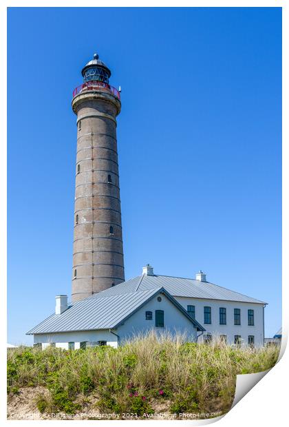 Skagen Lighthouse Print by DiFigiano Photography