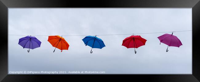 Suspended Animation Framed Print by DiFigiano Photography