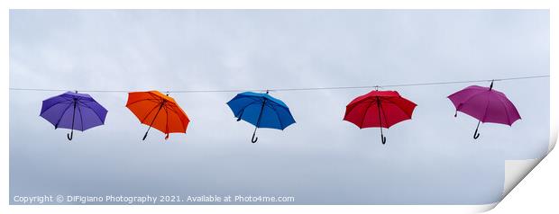 Suspended Animation Print by DiFigiano Photography