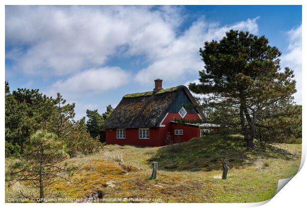 Sonderho Cottage Print by DiFigiano Photography