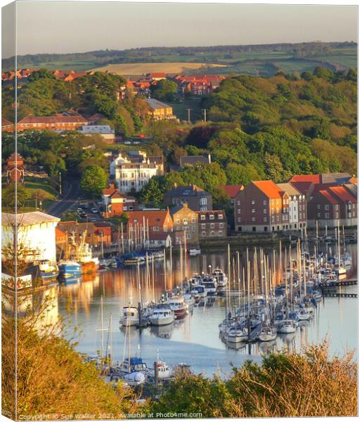 Whitby harbour Canvas Print by Sue Walker