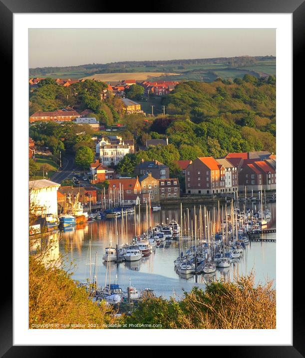 Whitby harbour Framed Mounted Print by Sue Walker
