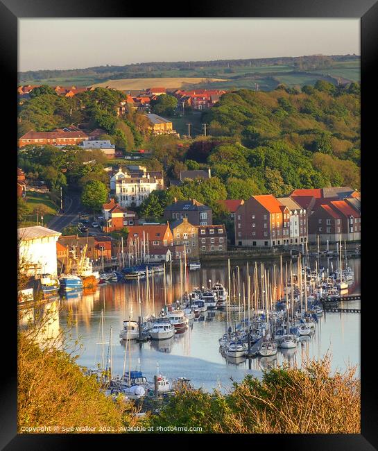 Whitby harbour Framed Print by Sue Walker