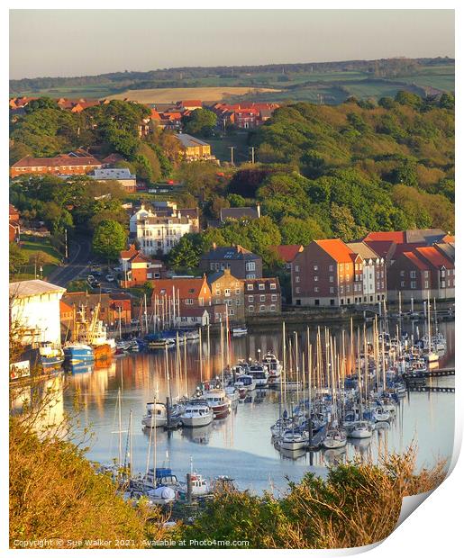 Whitby harbour Print by Sue Walker