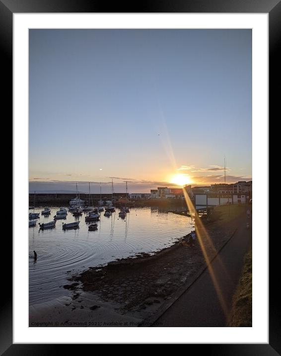 Portrush harbour at sunset Framed Mounted Print by Anna Hamill