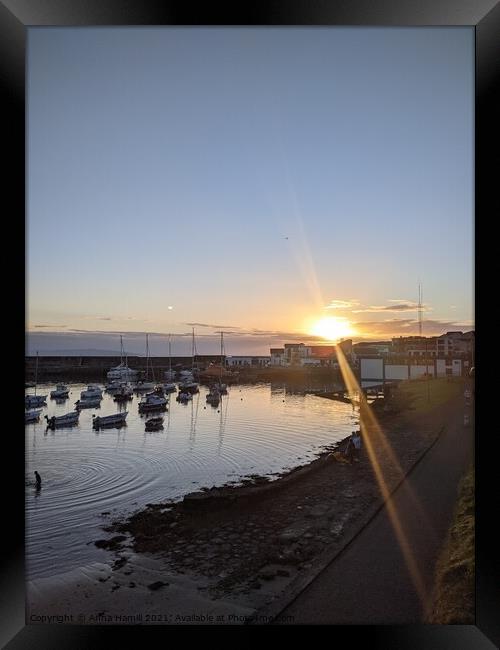 Portrush harbour at sunset Framed Print by Anna Hamill