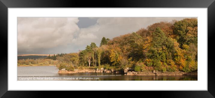 Panoramic of Burritor Dam in Dartmoor in Autumn Framed Mounted Print by Peter Barber
