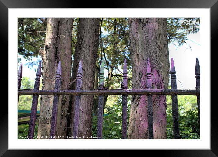 Iron and trees Framed Mounted Print by Kevin Plunkett