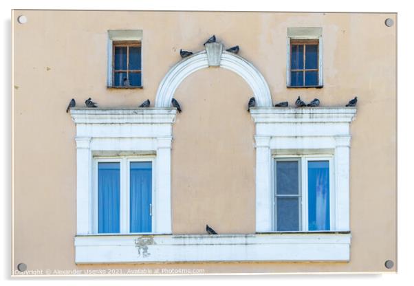 Facade with pigeons Acrylic by Alexander Usenko
