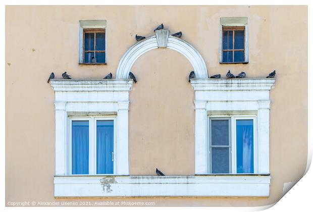 Facade with pigeons Print by Alexander Usenko