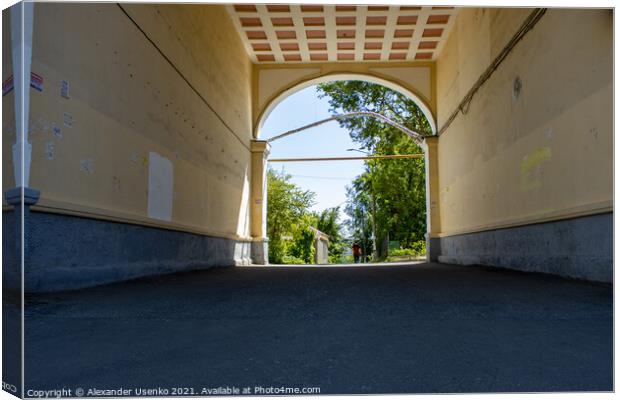 Arch under the house Canvas Print by Alexander Usenko