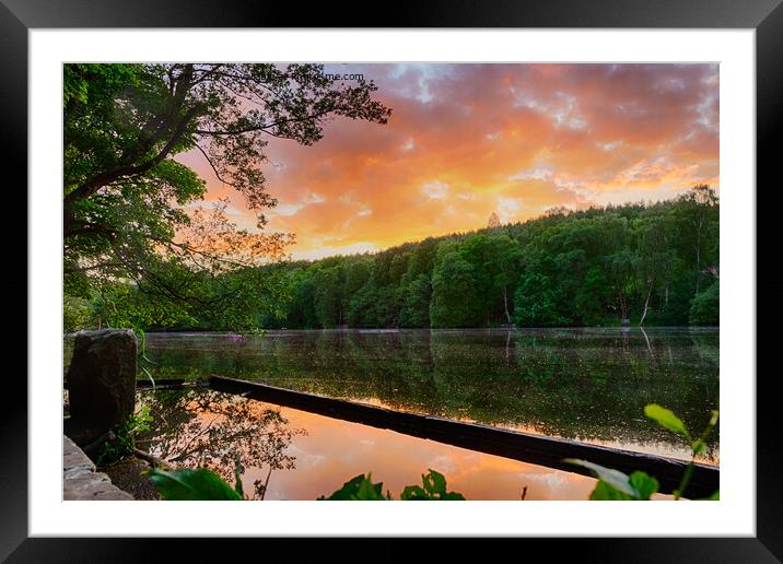 Coppice Pond Sunset Framed Mounted Print by Trevor Camp