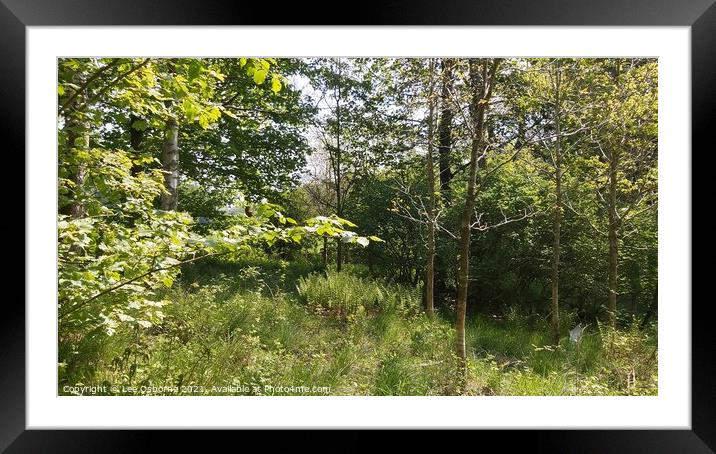 West Lothian Woodland Walk 3 Framed Mounted Print by Lee Osborne