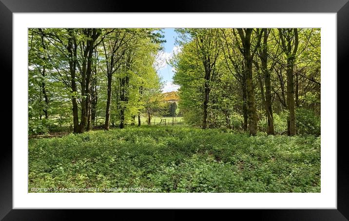 Beecraigs Country Park, Scotland Framed Mounted Print by Lee Osborne