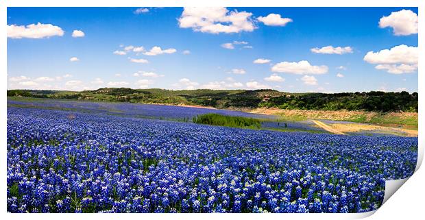 A Sea of Blue Panoramic Print by Chuck Underwood