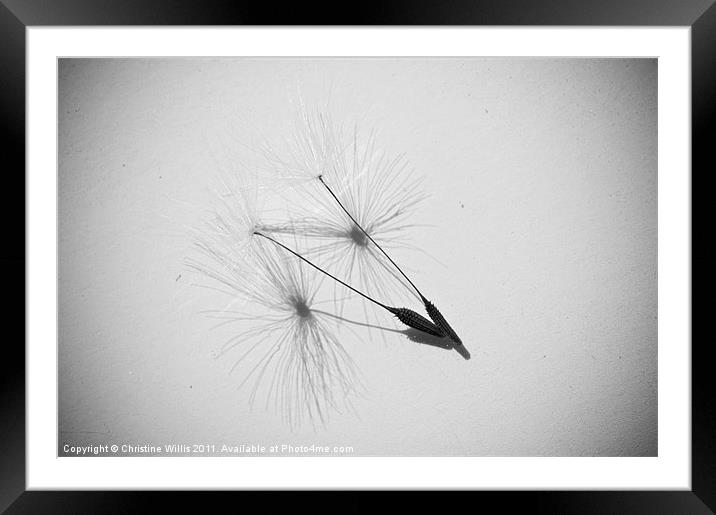 Barely There Framed Mounted Print by Christine Johnson