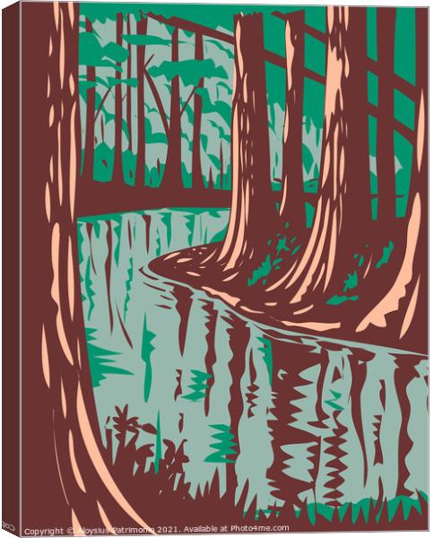 Cedar Creek at the Congaree National Park in Central South Carolina United States of America WPA Poster Art Canvas Print by Aloysius Patrimonio