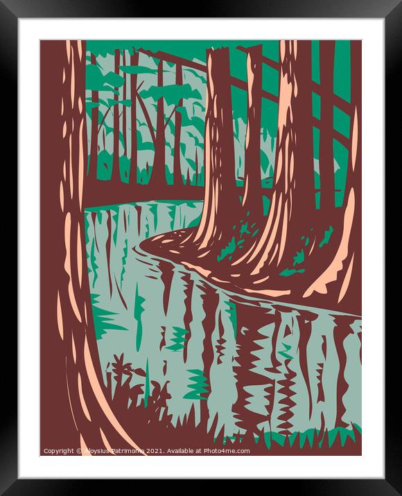 Cedar Creek at the Congaree National Park in Central South Carolina United States of America WPA Poster Art Framed Mounted Print by Aloysius Patrimonio
