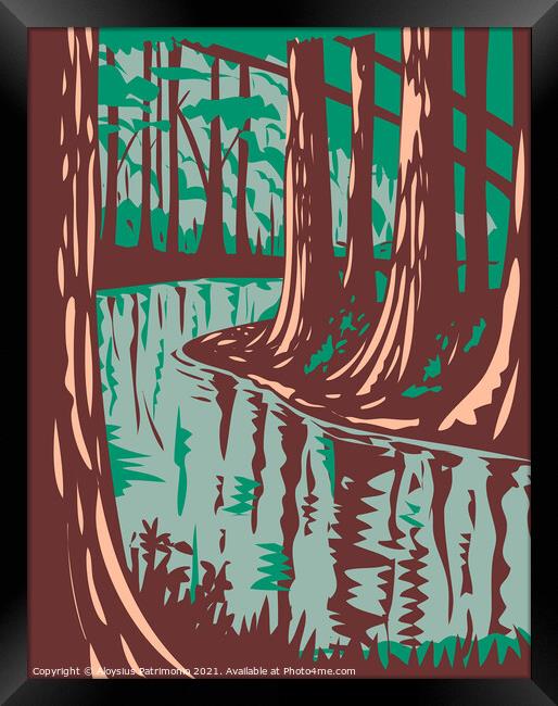 Cedar Creek at the Congaree National Park in Central South Carolina United States of America WPA Poster Art Framed Print by Aloysius Patrimonio