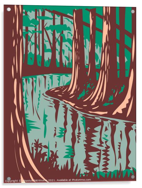 Cedar Creek at the Congaree National Park in Central South Carolina United States of America WPA Poster Art Acrylic by Aloysius Patrimonio
